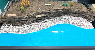 Prototype of the river bank and slope protection technique using soil-bio-engineering Solution (Willow Spiling Method).